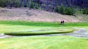 Maybe you would like to learn more about one of these? Popping A Lawn Bubble Is Like Popping A Zit Howstuffworks