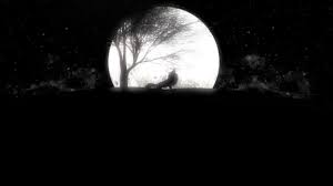 Timber wolf howling at the moon. 83 Wolf Howling Stock Videos Royalty Free Wolf Howling Footage Depositphotos