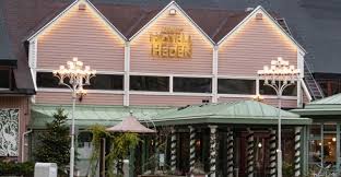 Den har närmare 40 olika åkattraktioner, lottospel, dansbana, restauranger och. Liseberg Hotellrevyn