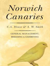 A cinnamon norwich canary by alf barnes from 'cage birds', 31 august 1978. Norwich Canaries By C A House Ebooks Scribd