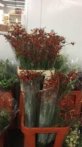 Hours may change under current circumstances M M Cut Flora Home Facebook