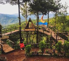 Tempat wisata bogor via instagram.com/kebunrayabogor/ . Ini Dia 7 Destinasi Wisata Baru Kekinian Yang Lagi Hits Di Bogor Backpacker Jakarta