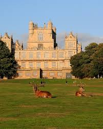 Image result for wollaton hall nottingham