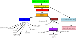 Lesson 2 The Structure And Function Of The Ghana Health