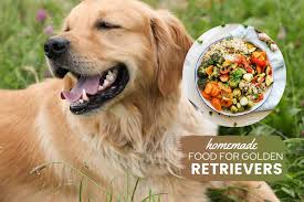 Directions place beef, liver, garlic, broccoli, green beans, spinach and water in a baking dish and bake at 350 for about 20 minutes, or until beef is just barely pink in the center. The Ultimate Golden Retriever Homemade Dog Food Guide Canine Bible