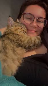 Found female dog in West Valley, LA