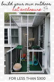 How To Build A Catio With Pvc Pipes Our Re Purposed Home Outdoor Cat Enclosure Diy Cat Enclosure Cat Enclosure