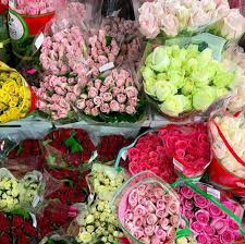 Wholesale flowers sells fresh flowers and foliages direct to the public. Wholesale Watanabe Floral Inc