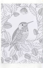 Millie Marotta S Colouring In Card House Sparrow Bird Coloring Pages Animal Kingdom Colouring Book Coloring Book Art