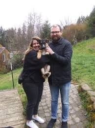 The wags & walks adoption center is a bright, healthy and calm environment where the while our adoption center may be temporarily closed, there are still hundreds of dogs in our foster program who. Adopted Nashville Shepherds Without Borders