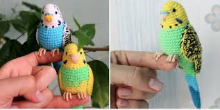 Crochet Bird Patterns Easy Diy Video The Whoot In 2020 Crochet Bird Patterns Crochet Birds Crochet Parrot