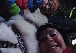 Har etterlyst eieren av hunden i flere uker: