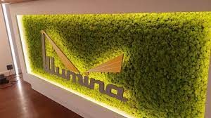 mooswande selber machen kein problem moos stabilisiert wird in packungen von 1 kg zugesandt und mit kleber auf die living wall home decor design