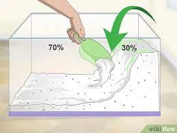 How To Care For An Aquatic Newt: 11 Steps (With Pictures)