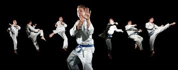 Pin By Retro Retroilija On Taekwondo Photography Martial Arts Photography Martial Arts Karate