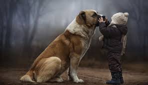 Argentina celebra el día del animal todos los 29 de abril en conmemoración al fallecimiento de ignacio lucas albarracín, un abogado que luchó por los derechos de los animales y que durante más de cincuenta años fue primer secretario y presidente de la sociedad argentina protectora de los animales. 29 De Abril De 2015 Feliz Dia Del Animal Schnauzi Com