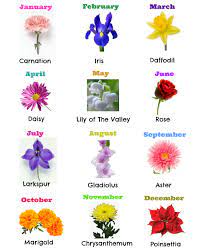 What are the birth flowers for the month of august? Birth Month Flowers Gifts Birth Month Flowers Birth Flowers July Birth Flower