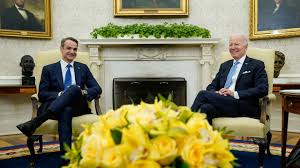 Image result for Bidens kirkii