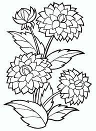 Print the high quality pdf version below. Dahlia Flower Coloring Pages