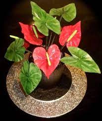 Anthurium Flowers Anthurium Flower Anthurium Flower Centerpieces