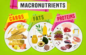 Macronutrients are the nutrients that your body needs in large amounts, which include fat, carbohydrates, and protein. What Are Macronutrients And What Do They Do