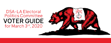 2020 Primary Voter Guide Dsa La