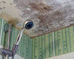 How to remove mould from your ceiling. Bathroom Ceiling Mold Removal When To Clean When To Call