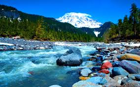 Hd Nature Wallpapers 4k Cool Full Hd 1080p Nature Wallpaper Mount Rainier National Park Mount Rainier 1562x976 Wallpaper Teahub Io 8 beautiful pics of nature. hd nature wallpapers 4k cool full hd