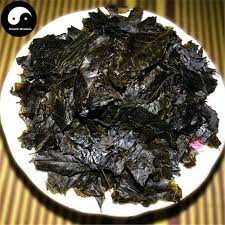 mao dong qing 毛冬青葉 folium pubescent holly ilicis pubescentis leaf traditional chinese medicine herbalism medicinal herbs