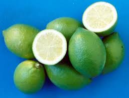 Utilizzo principale, come scegliere il nome botanico della pianta del mandarino è citrus nobilis e appartiene alla famiglia delle rutaceae. Mandalatea