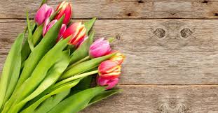 See 262 unbiased reviews of rye bar & southern kitchen, rated 4 of 5 on tripadvisor and ranked #138 of 1,438 restaurants in raleigh. Downtown Raleigh Nc Events Rye Bar Southern Kitchen