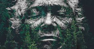 Ytene, the White Stag, and the Wise Woman of the Forest