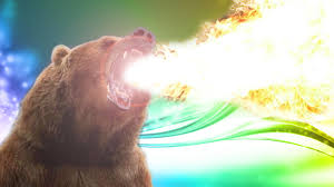 May 06, 2021 · the first bp was fantastic; Fire Bear Hd Wallpaper 1920x1080 Id 44125 Wallpapervortex Com
