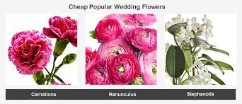 Maybe you would like to learn more about one of these? Examples Of Wedding Floral Arrangements Per Price Google Search Cheap Wedding Flowers Neutral Wedding Flowers Expensive Flowers