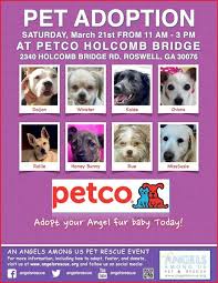Pin By Angels Among Us Pet Rescue On All About Aau Petco Pet Adoption Adoption