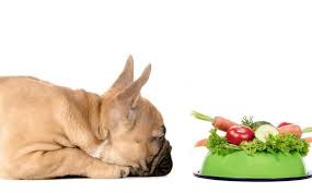 Maybe you would like to learn more about one of these? Can My Dog Eat Pomegranates Dogs World