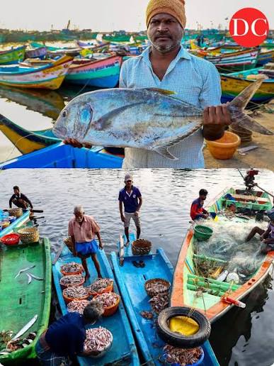 Fishing boats lie anchored along the Arabian Sea coast at Uttan Beach on the outskirts of Mumbai, Sunday, June 14, 2026, as the annual fishing season draws to a close ahead of