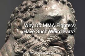 Fighters in training have it might look tough and great for some guys, he says. Why Do Mma Fighters Have Such Weird Ears Mma For The Working Man