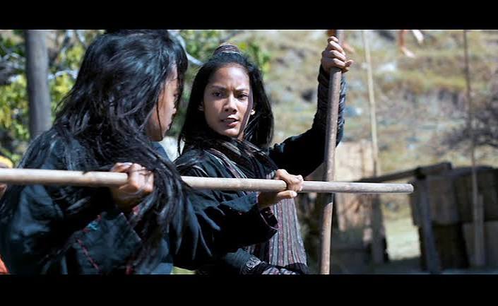 The Golden Cane Warrior (2014) - Kung-fu Kingdom