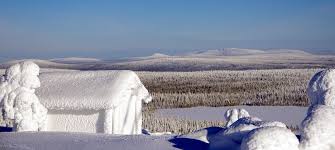 Nein, ich meine das ernst! Winterreisen Finnland Norway Protravel
