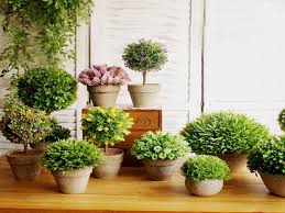 Check spelling or type a new query. 80 Ways To Decorate Home With Plants And Greenery