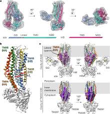 Image result for pakt ribbentrop-mo