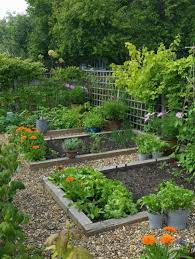 Kitchen Garden Ideas Garden Layout Vegetable Large Backyard Landscaping Backyard Vegetable Gardens