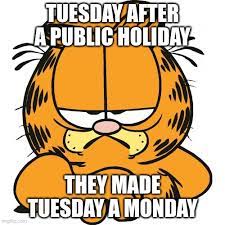 We did not find results for: Garfield Imgflip