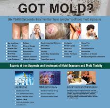 Pin On Mold Health