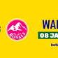 Joburg Super Kings vs Paarl Royals event image