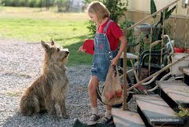 Because Of Winn Dixie Kid Movies Winn Dixie Favorite Movies