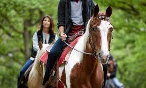 This information might be about you, your preferences or your device and is mostly used to make the site work as you expect it to. Horseback Ride And Admission This Is The Place Heritage Park Groupon
