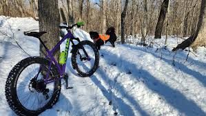 Three steel fireplace lean.