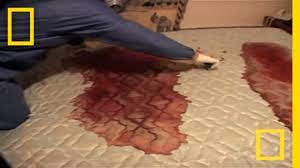 Crime Scene Cleaners Real Life Csi Youtube